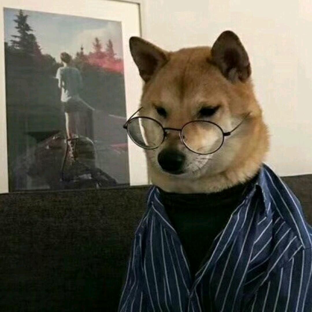 乐乐桑