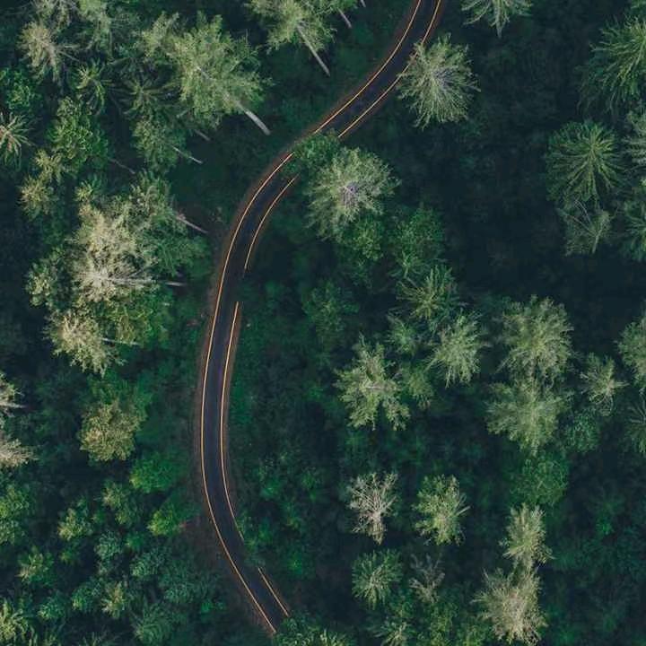 辉辉