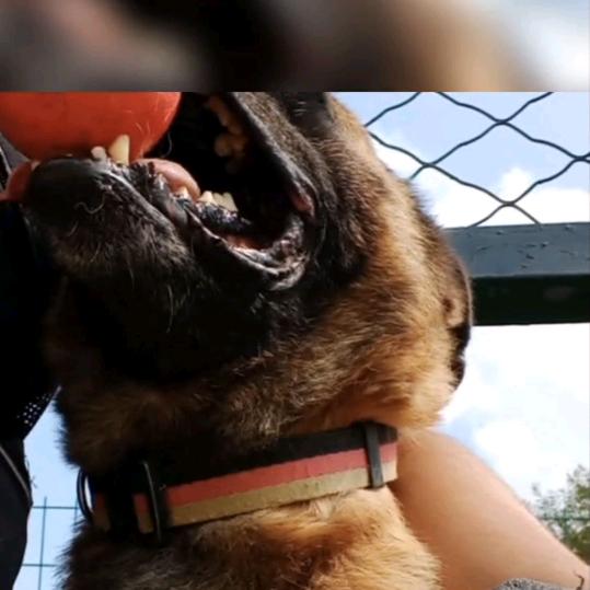 踏踏实实农村人