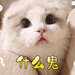 本爷、你拽不起