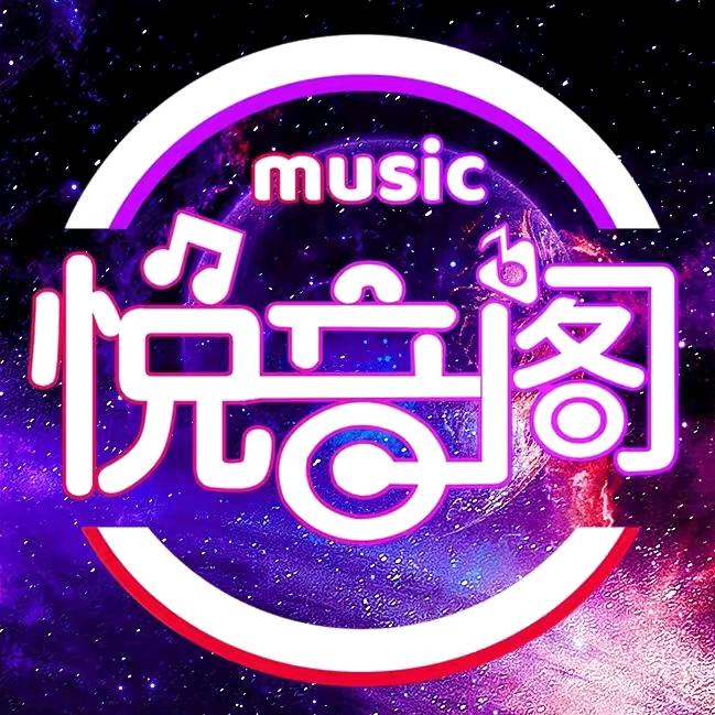 悦音（车载优盘）定制