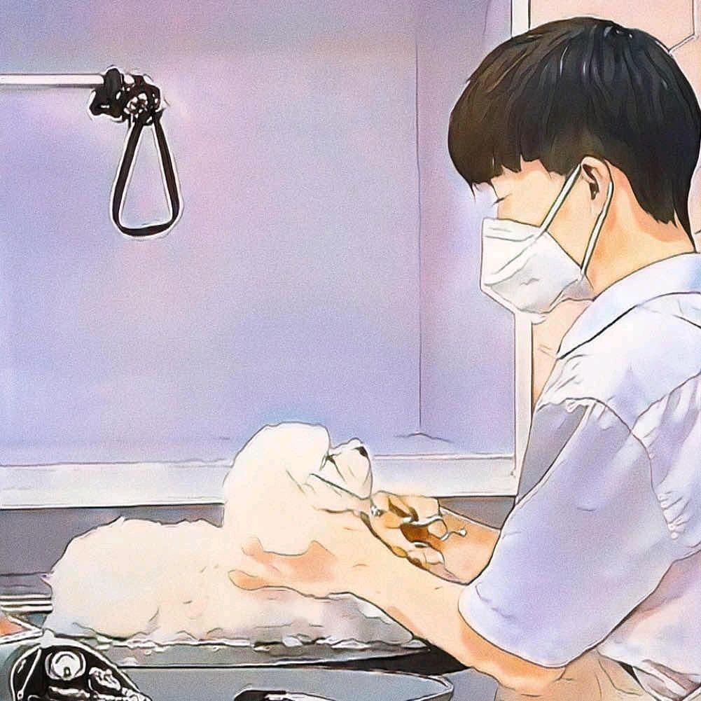 时倾