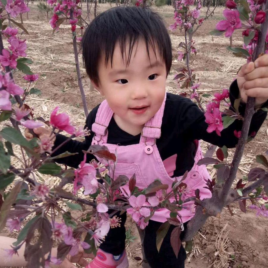 招财猫婚宴上门