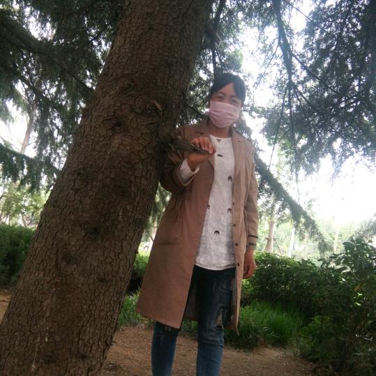 蕊遂