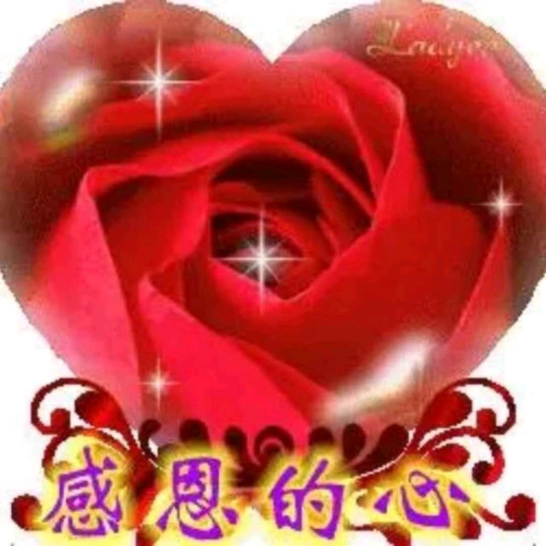 ꧁ 谢 ≦≧ 绝 ꧂