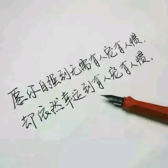 时间比眼睛更会看人🐬