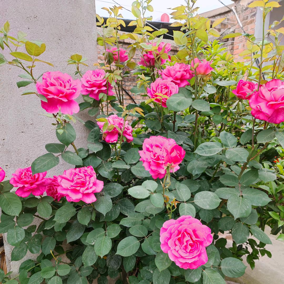 @笑对人生