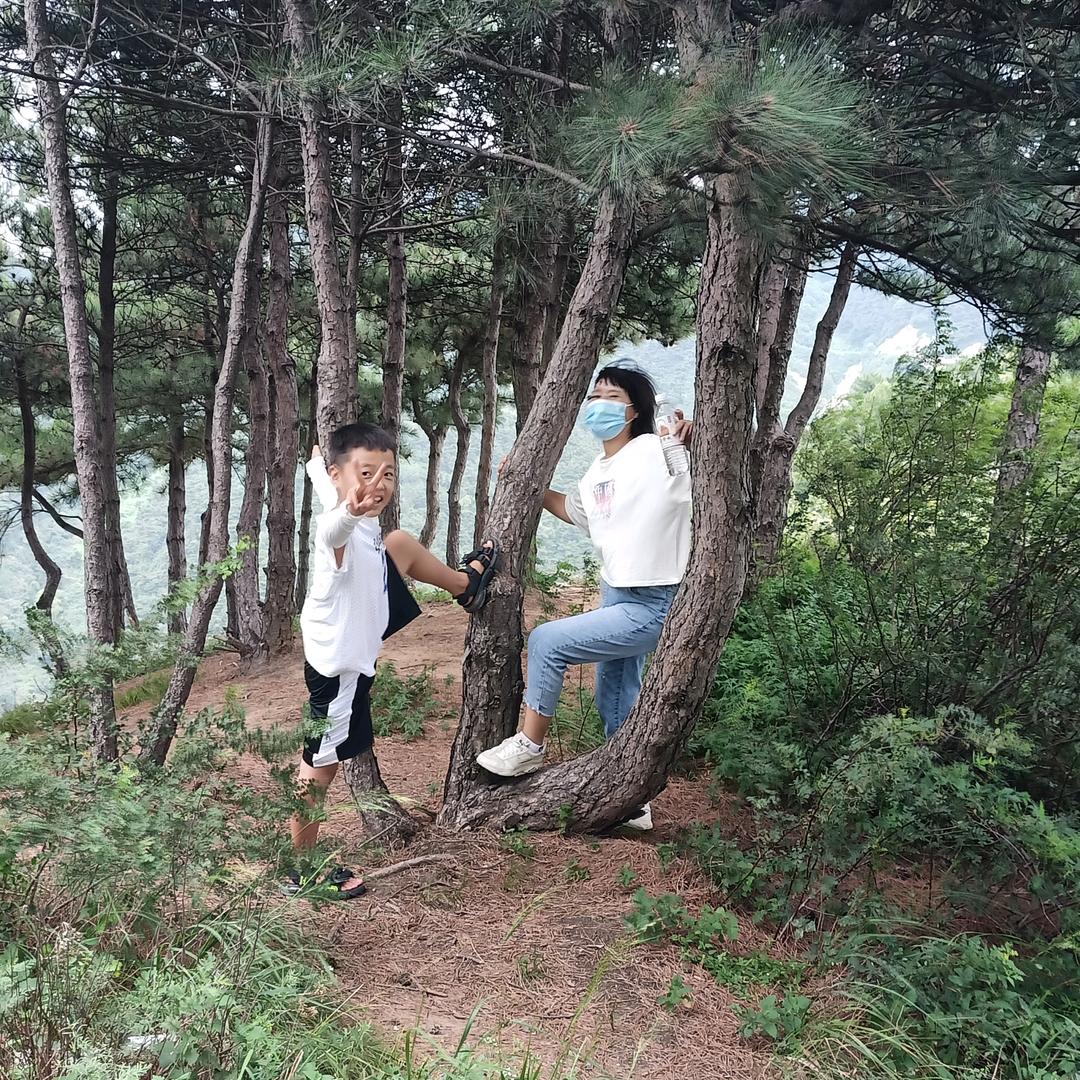 安逸的生活