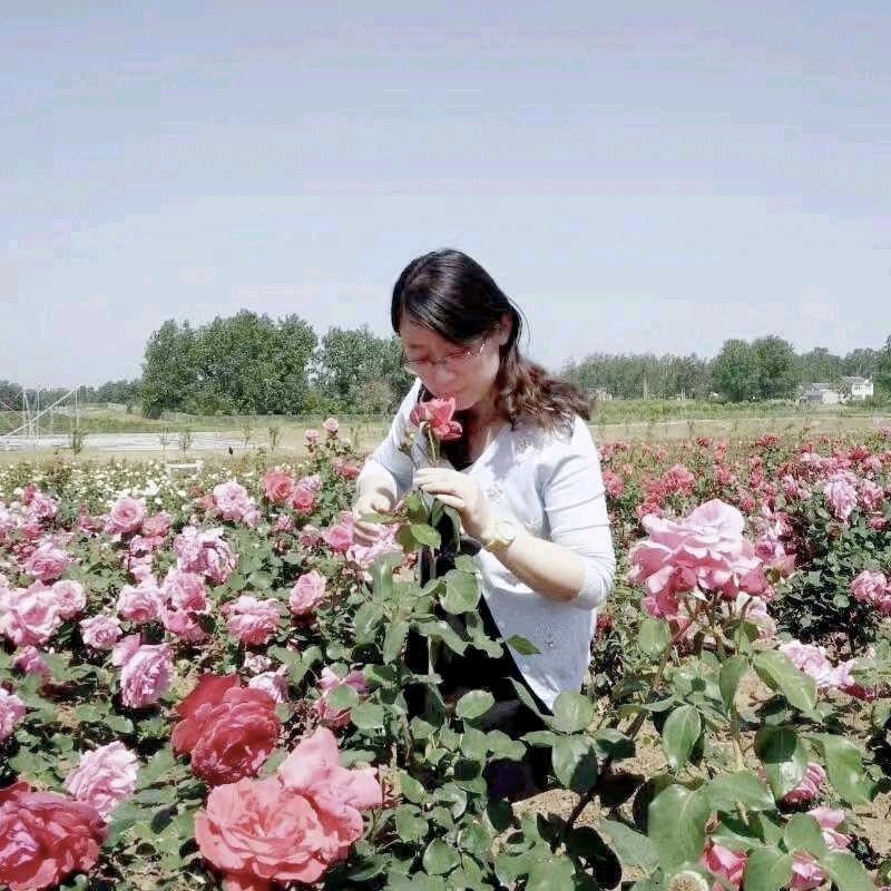 曼妙时光