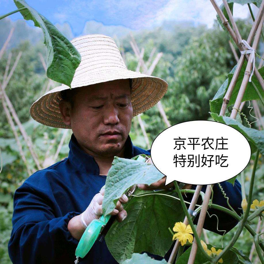平谷 二哥