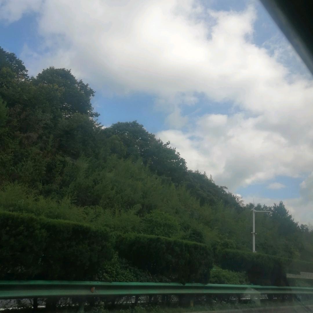 兵子