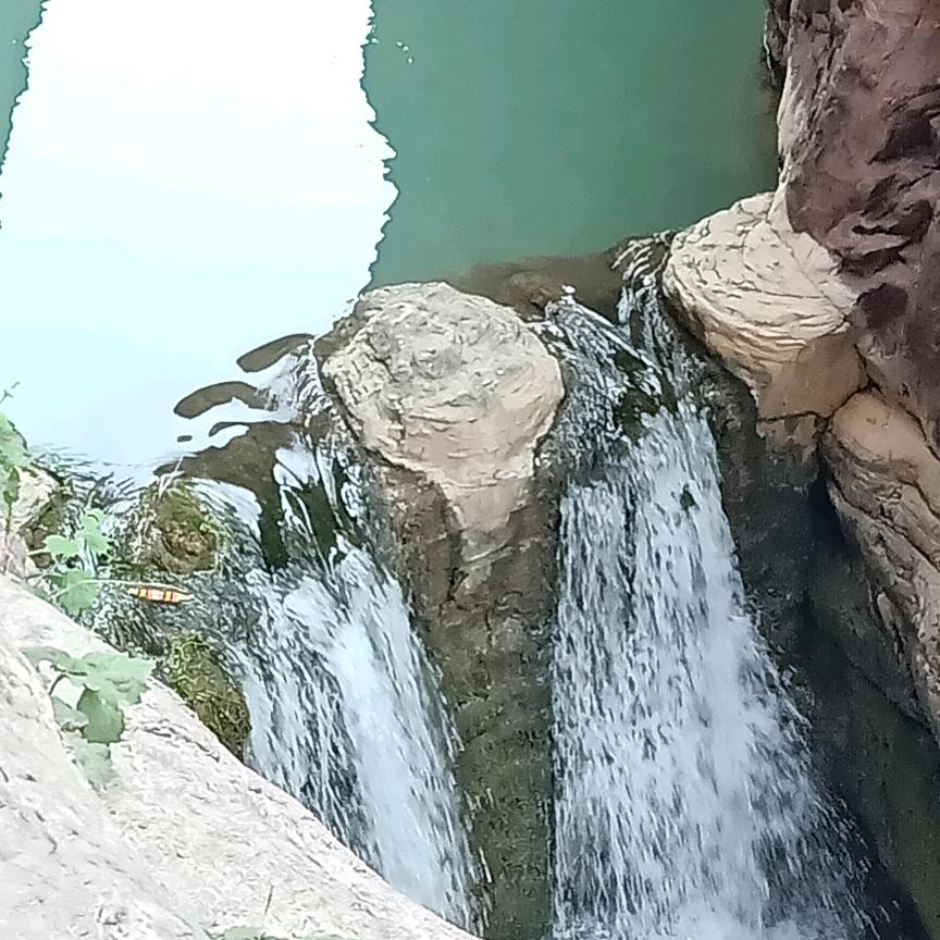 曼祺