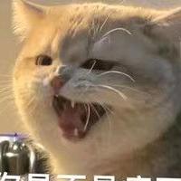 田花生