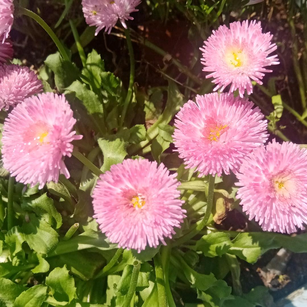 晚秋💕