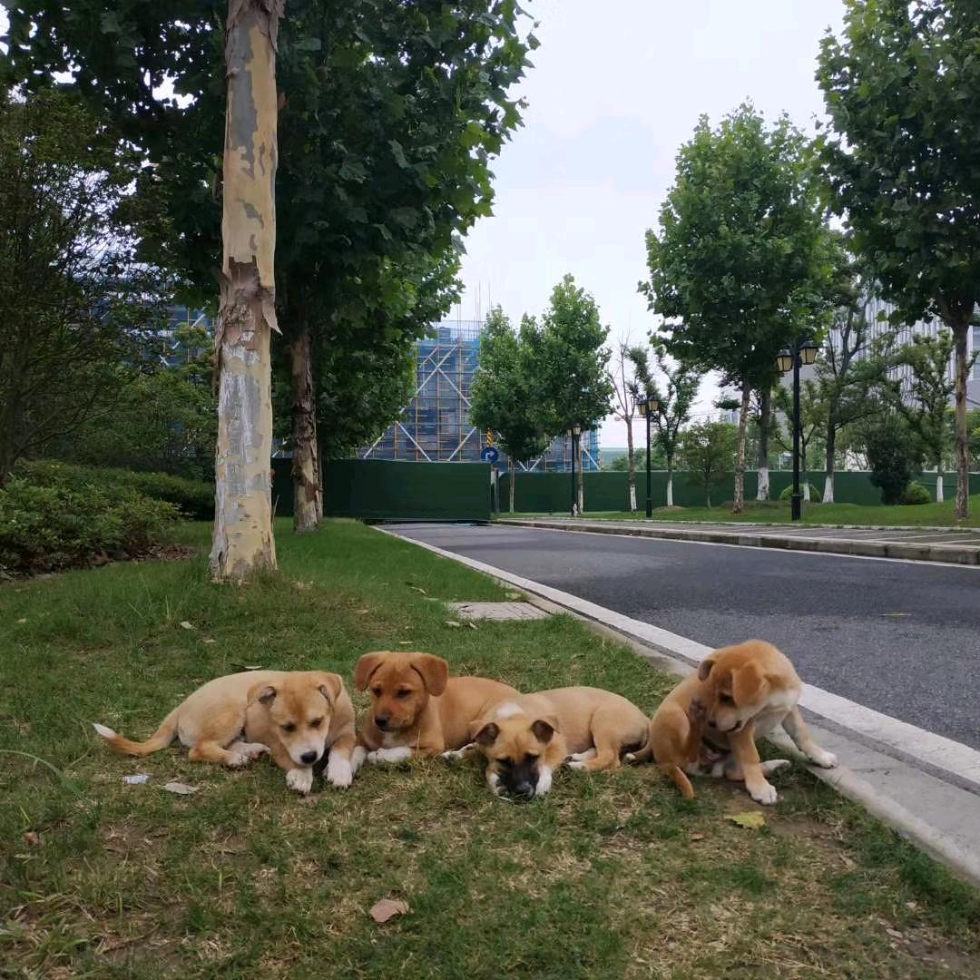 久而不离，伴而不弃