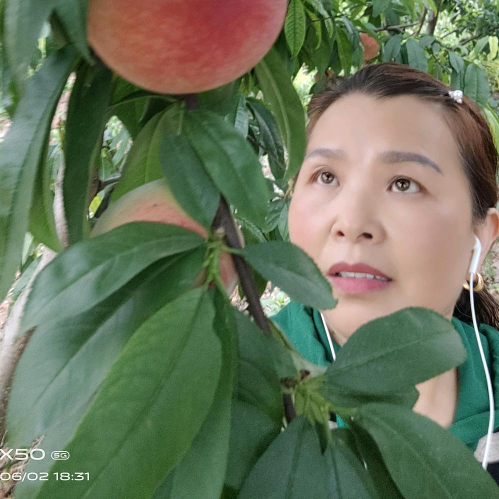每天好心情