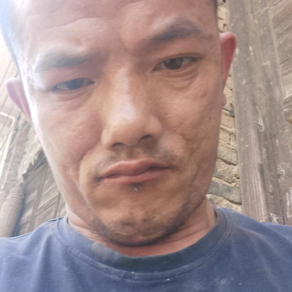 覃志效谷洲桥批发肉牛羊，广播出租花湖戏等