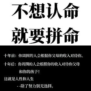 东北全哥