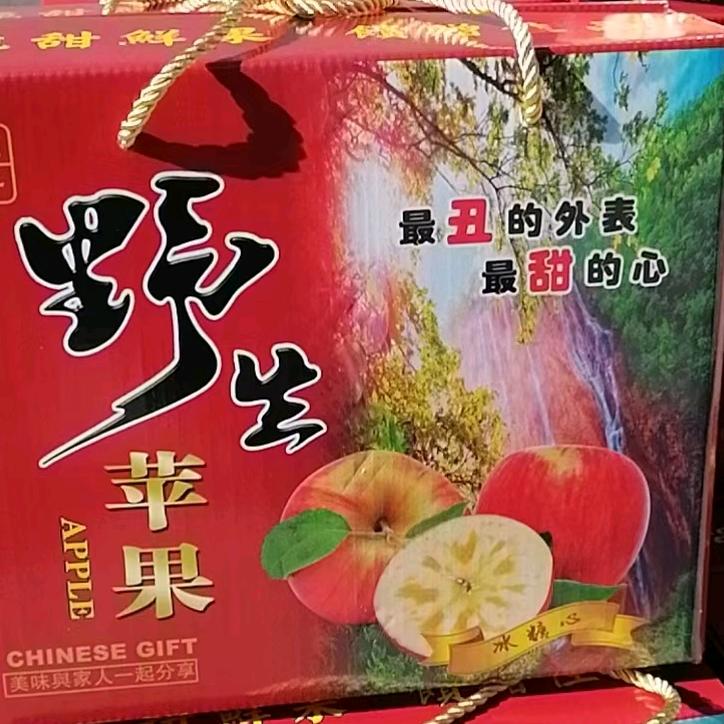 人生是一场旅行