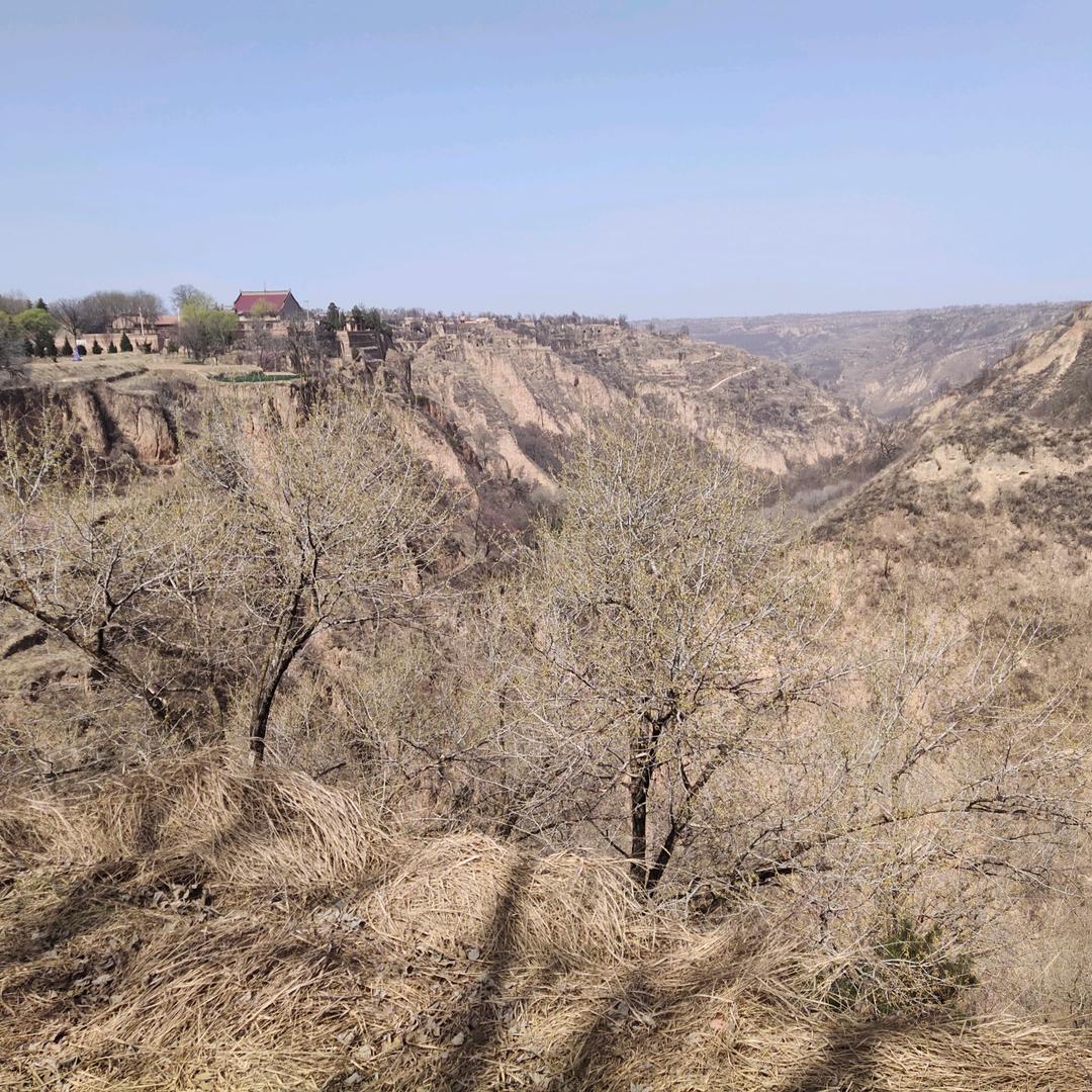 牵着蜗牛去散步