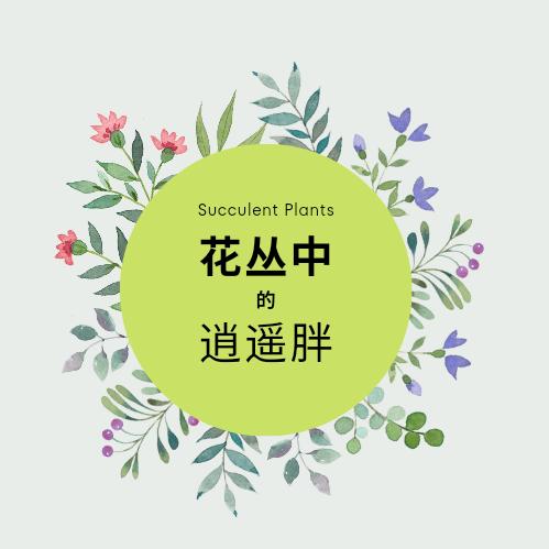 花丛中的逍遥胖