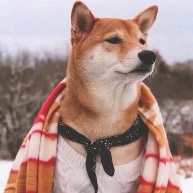 于.