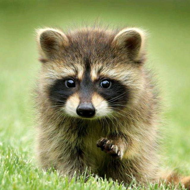 滔滔江水，连绵不绝。