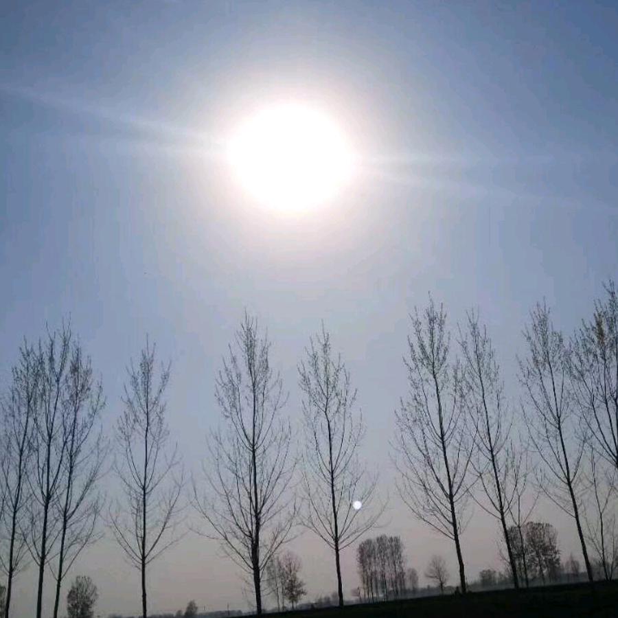 「一路向阳」