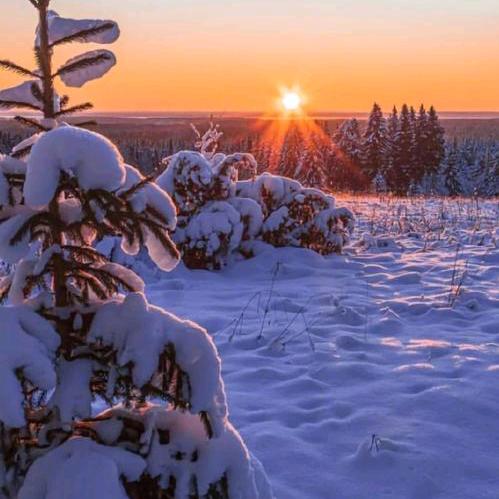 室内空气污染检测治理中心官方号