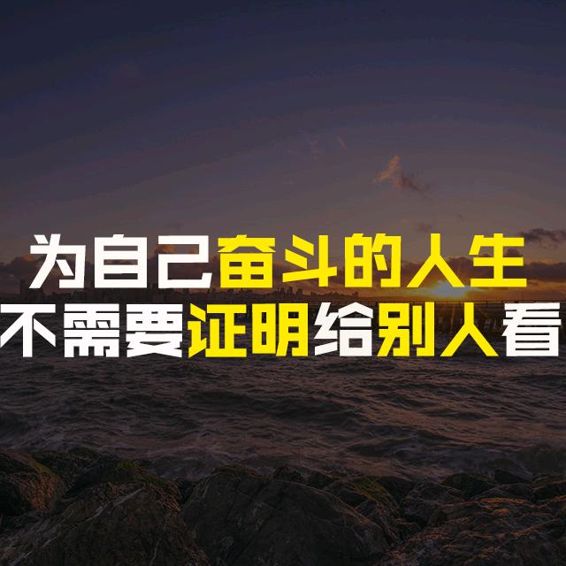 逆袭哥鹏飞