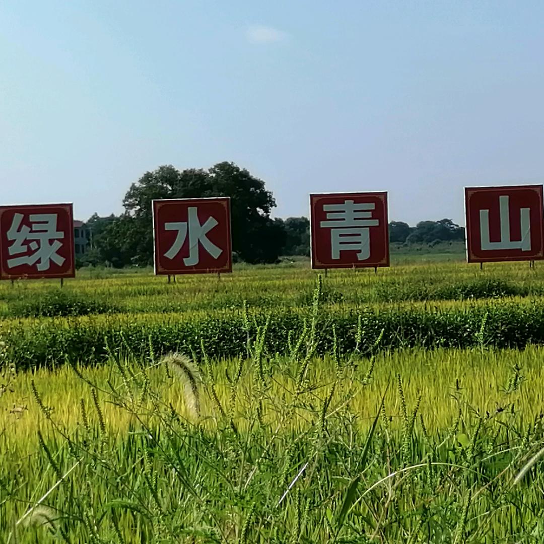 景创想
