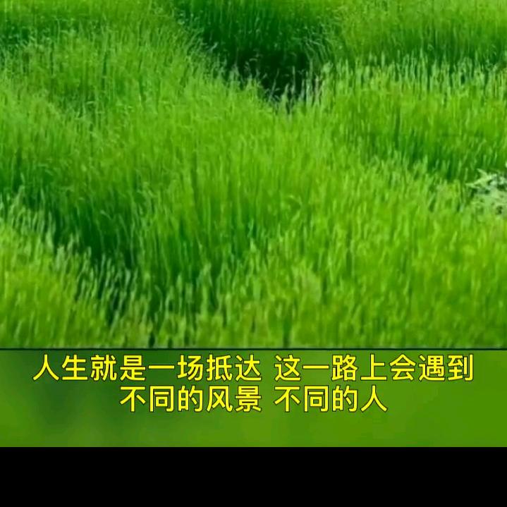 问心无愧