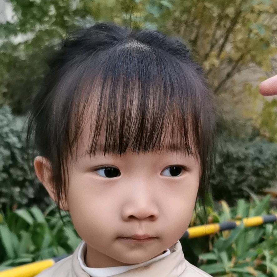 纵横捭阖