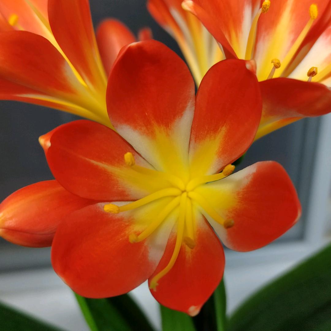 点滴—记录校园点滴