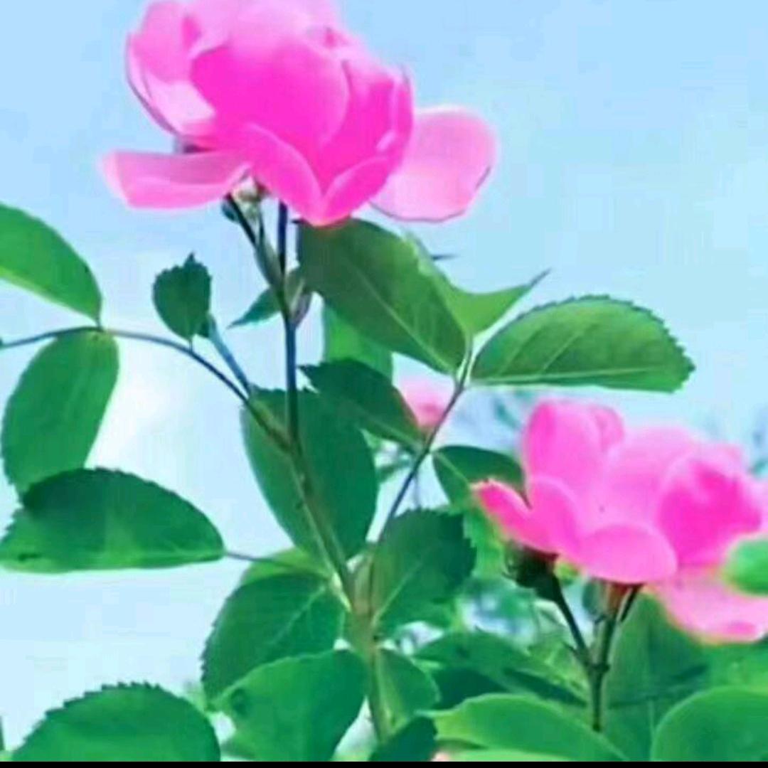 对你微笑(开封市杞县)70后