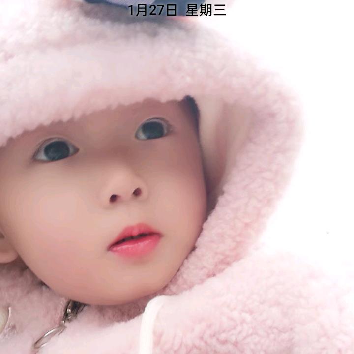 王会