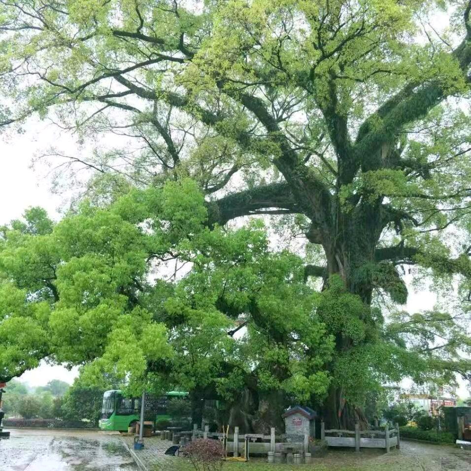 荔浦市雅迪车行