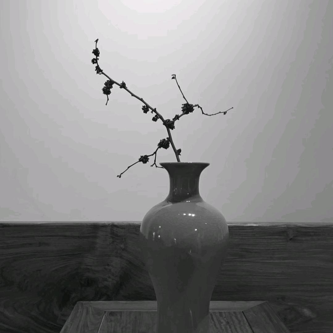 小白的白