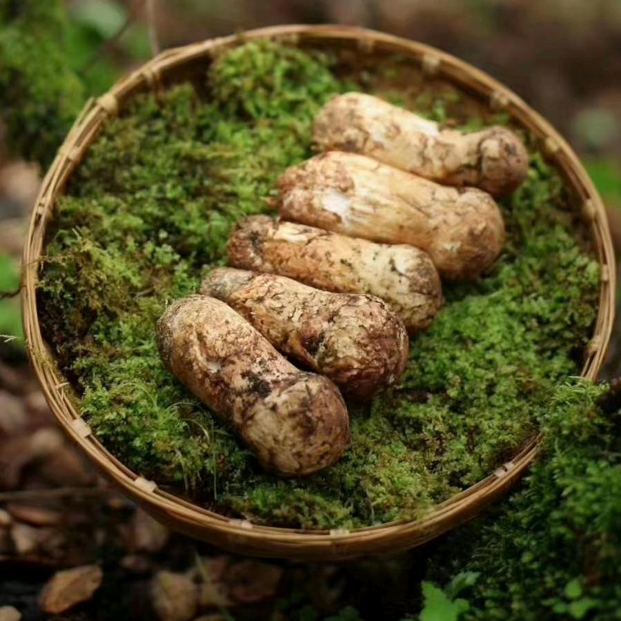 藏地良品滋补山货