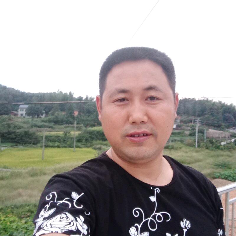 平淡是真