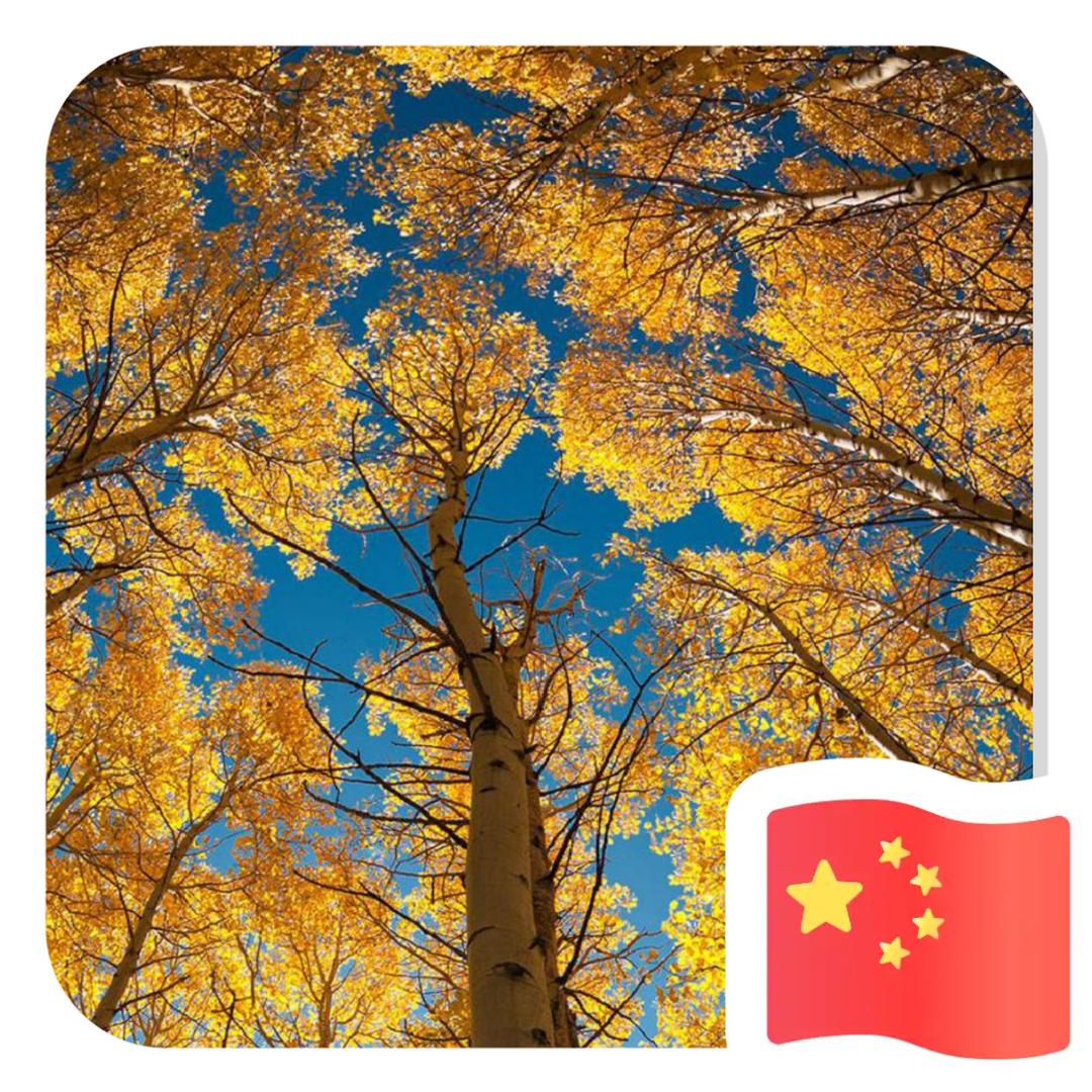 好人好梦