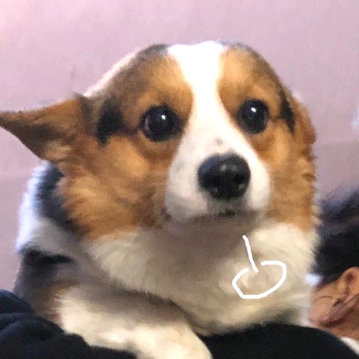 北晨