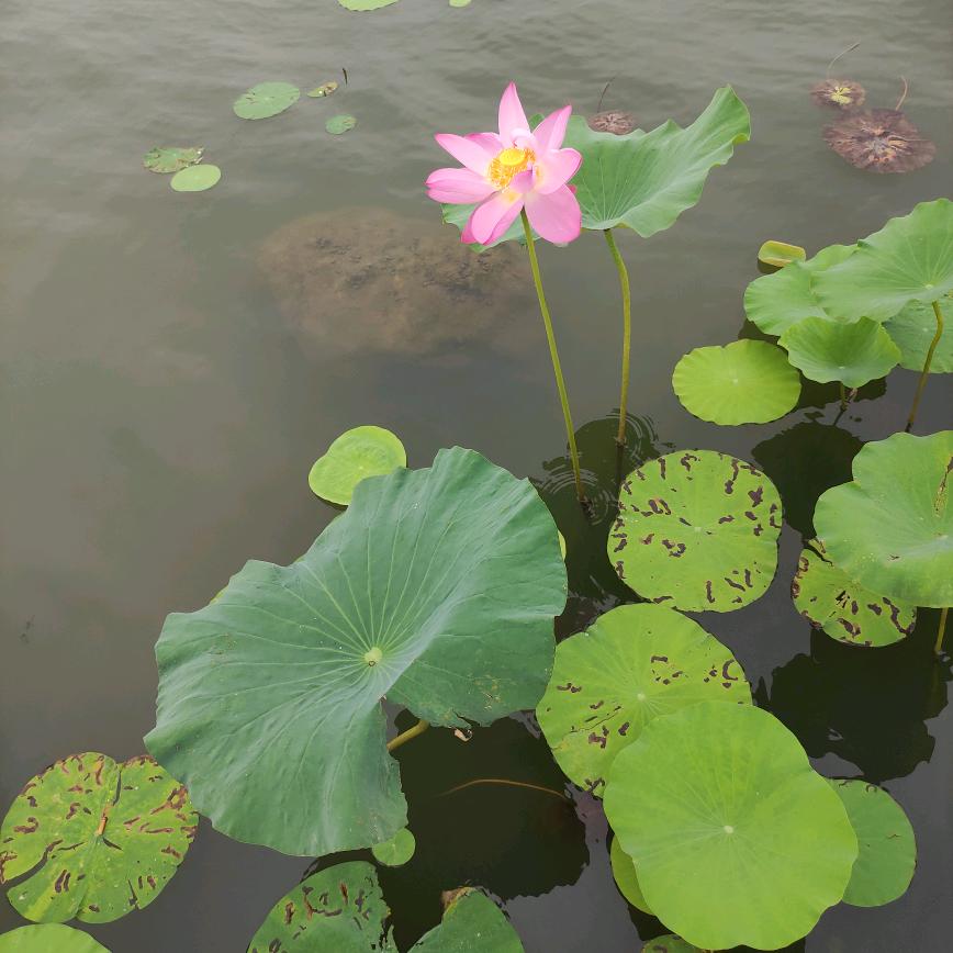 快乐奶奶👵🏻