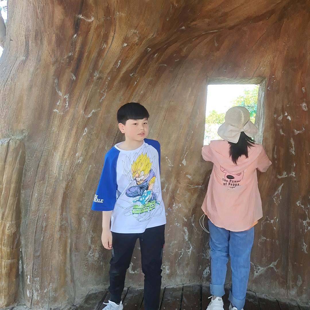 王涛