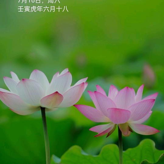 珍惜