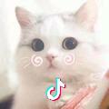 滾