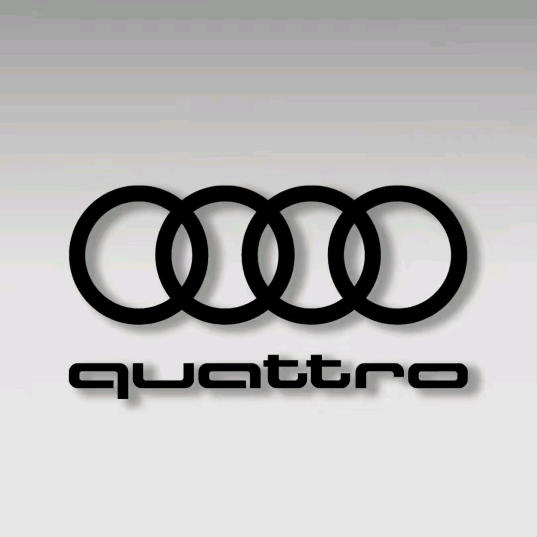 忠爱奥迪🌈🌈🌈🏎