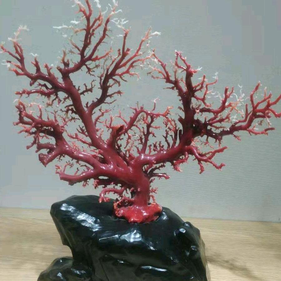 牵着蜗牛去旅行