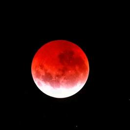 禄。。。。。。