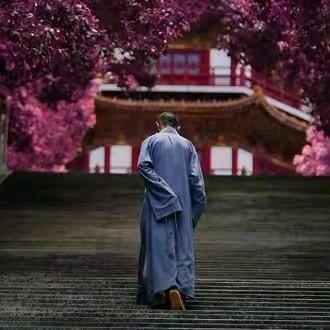 禅悟•人生